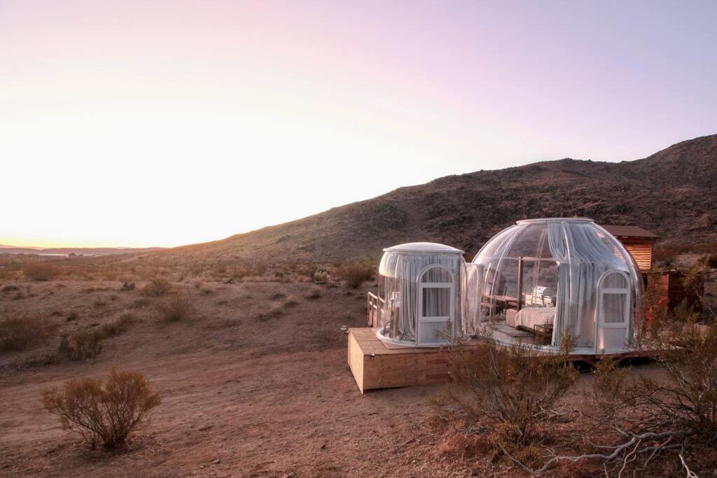JTHAVN-Joshua Tree Remote Dessert Bubble Dome Exterior foto