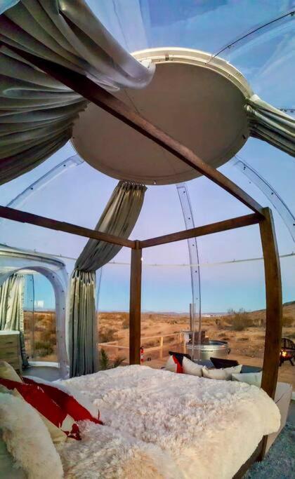 JTHAVN-Joshua Tree Remote Dessert Bubble Dome Exterior foto
