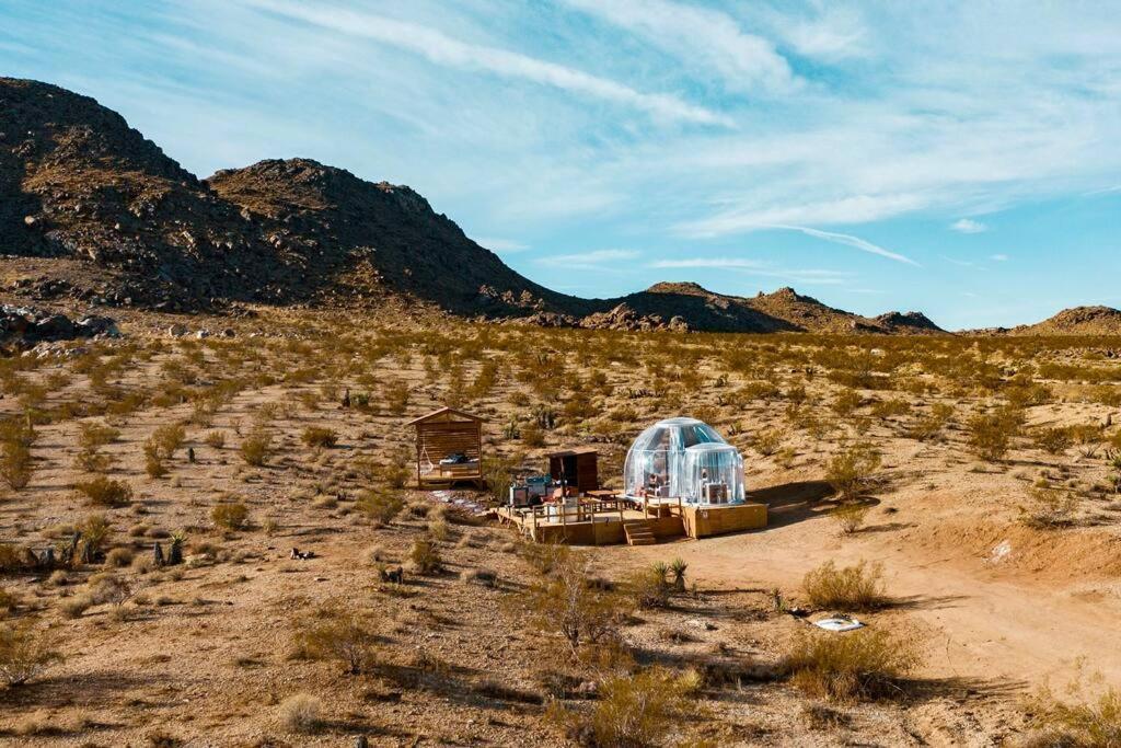 JTHAVN-Joshua Tree Remote Dessert Bubble Dome Exterior foto