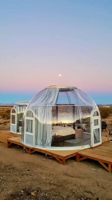 JTHAVN-Joshua Tree Remote Dessert Bubble Dome Exterior foto